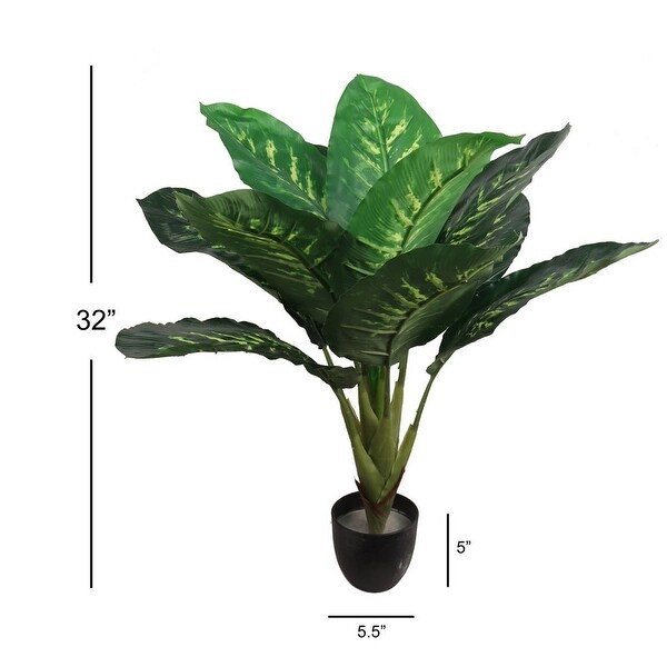 Dieffenbachia Plant in Black Pot: 32Inch，Floor Plant by Floral Home