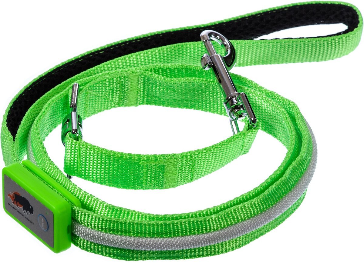 Blazin' Safety LED Dog Leash