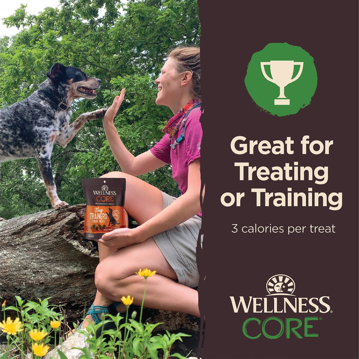 Wellness CORE Tiny Trainers Tender Lamb and Apples Dog Treats， 6-oz bag