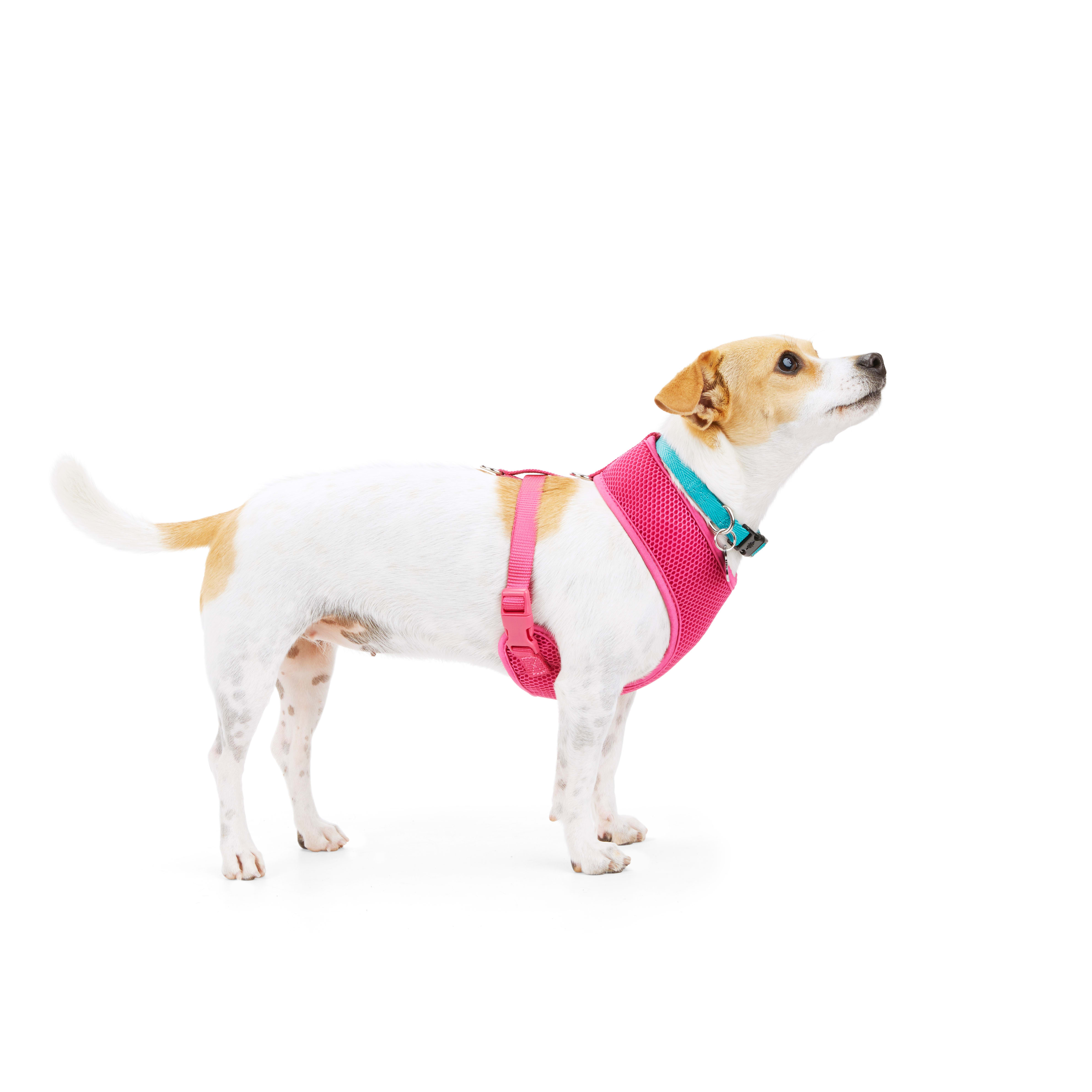 YOULY The Classic Hot Pink Mesh Dog Harness， X-Small