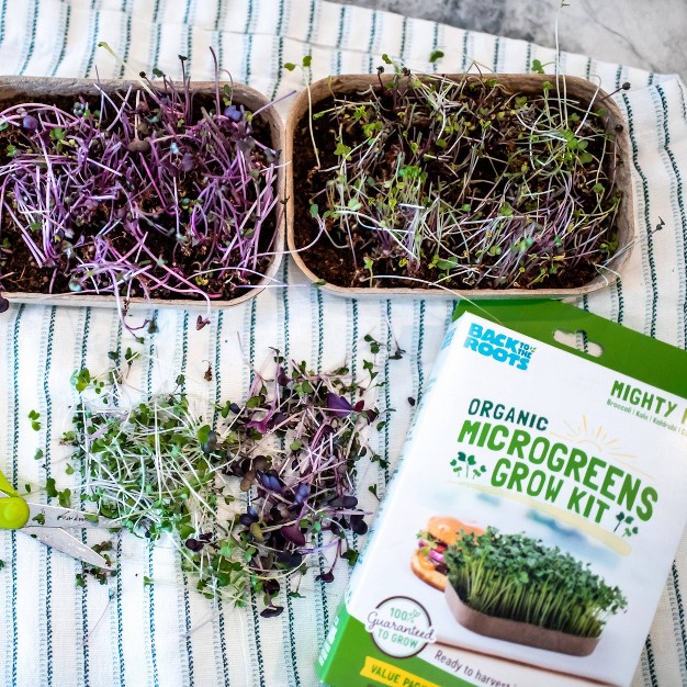 Back To The Roots 2pk Organic Microgreens Grow Kit Value Pack