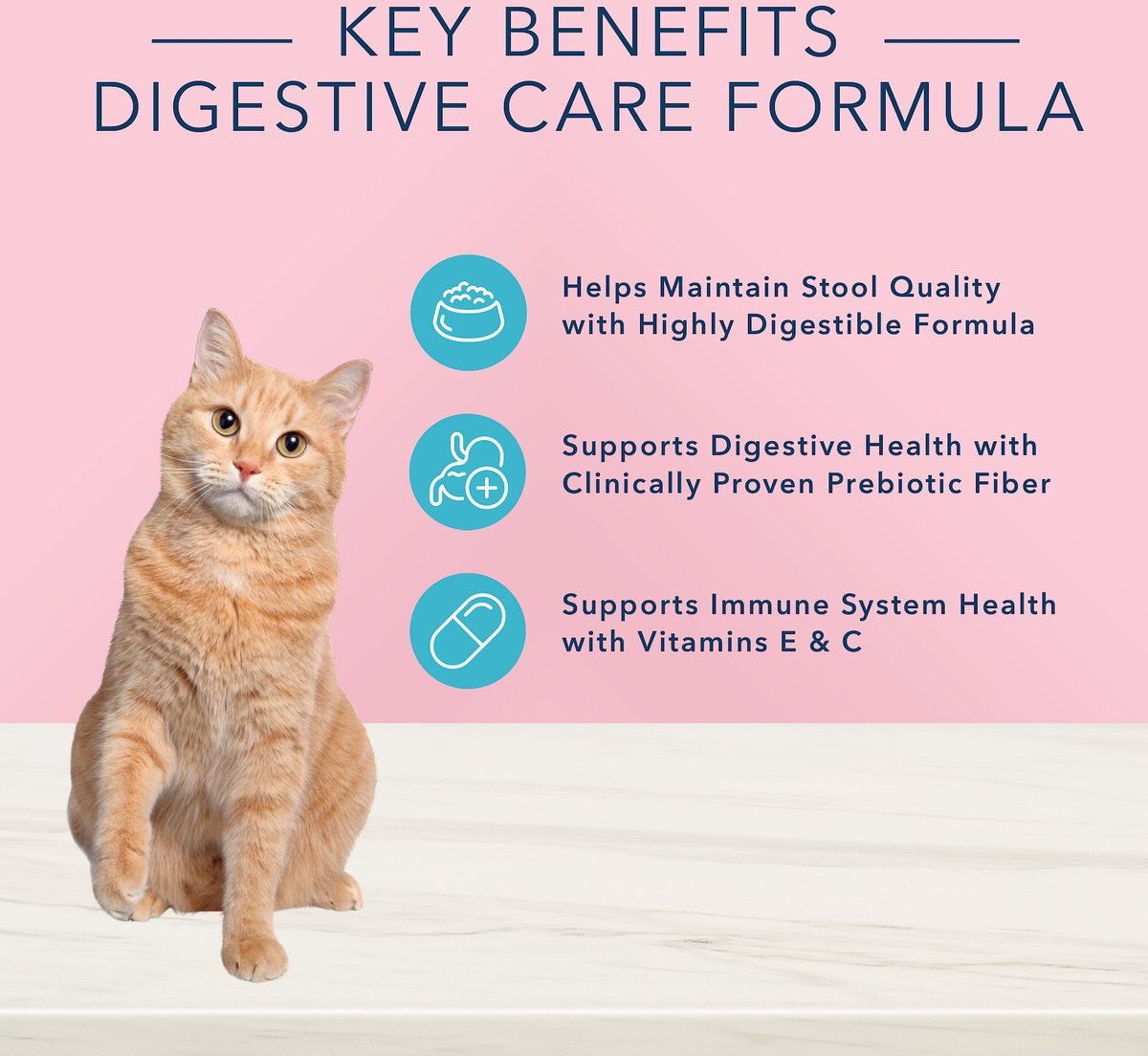 Blue Buffalo True Solutions Blissful Belly Digestive Care Formula Dry Cat Food