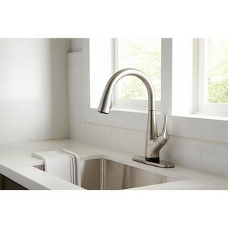 Glacier Bay Eagleton Single-Handle Pull-Down Sprayer Kitchen Faucet With Filtration in Stainless Steel HD67540-1008D2