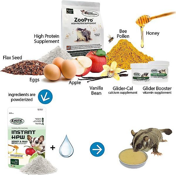 Exotic Nutrition Sugar Glider Food Starter Kit