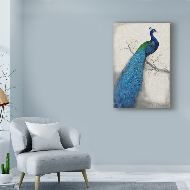 Trademark Fine Art tim Otoole x27 peacock Blue I x27 Canvas Art