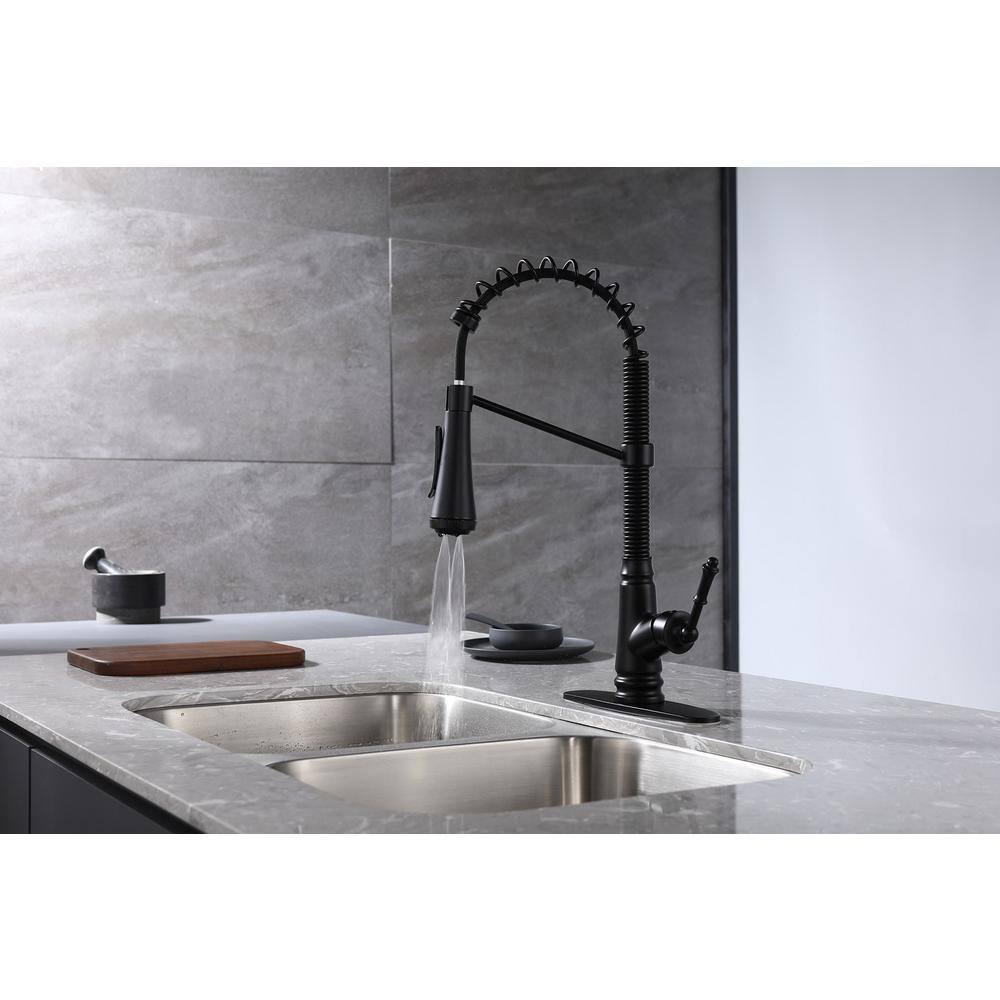 ELLOALLO Single-Handle Pull-Down Sprayer Kitchen Faucet with 4-Modes in Matte Black EKF-B-816