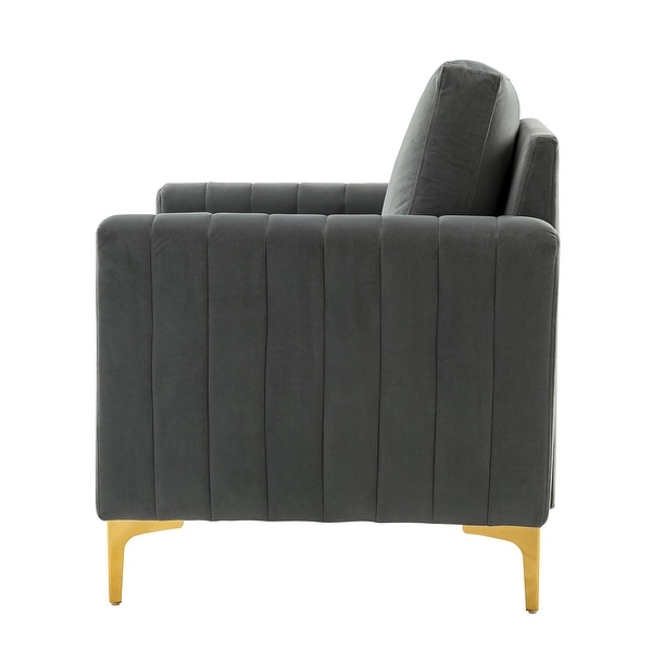 Ganymedes Contemporary Velvet Accent Arm Chair with Golden Legs Set Of 2 by HULALA HOME