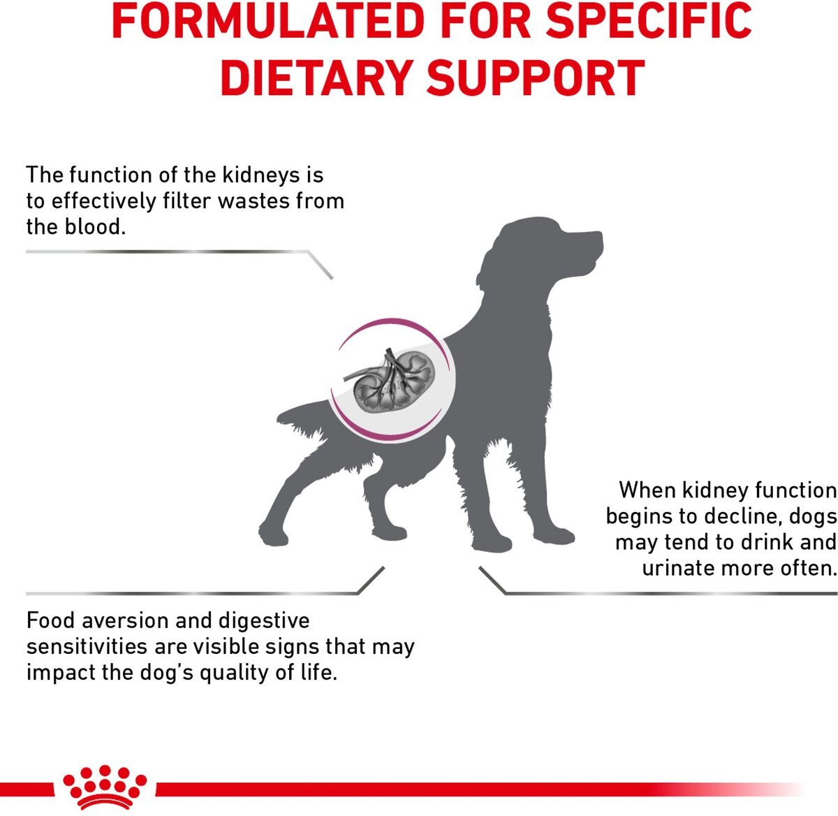 Royal Canin Veterinary Diet Adult Renal Support S Dry Dog Food