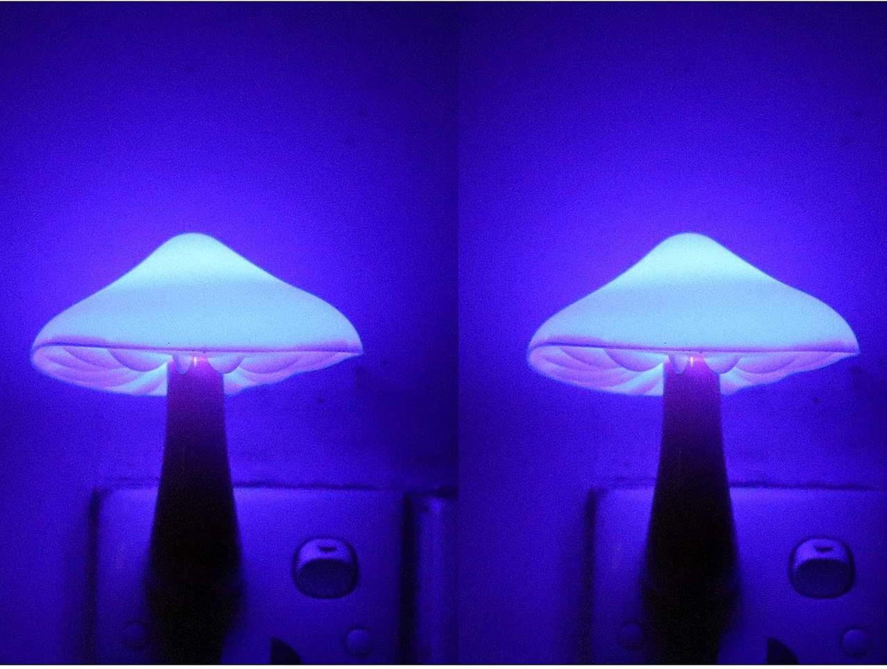 2pack Sensor Led Night Light Plug In Lamp Magic Mushroom Nighlight Cute Night Lights For Adults Kids Bedroom， Bathroom，toilet，hallway，stairs，kitchen B