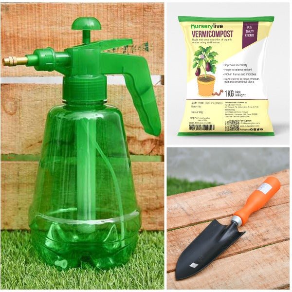 Basic Garden Essentials Kit for Home