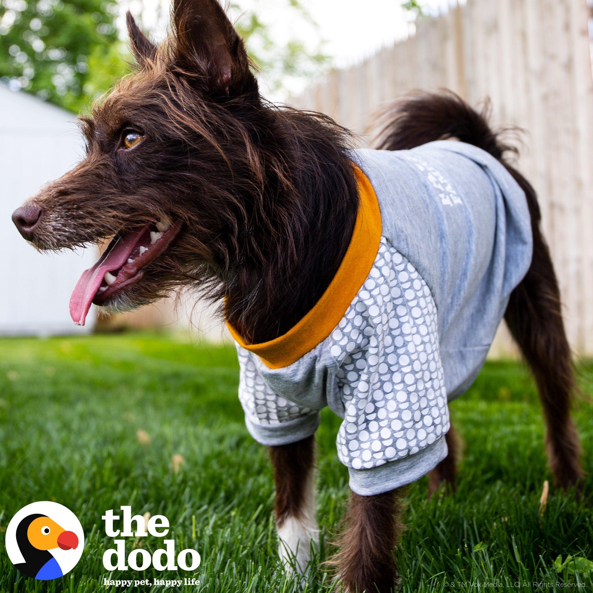 The Dodo Grey T-Shirt Small