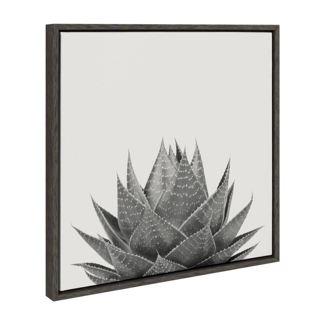 X 22 quot Sylvie Haze Aloe Succulent Framed Wall Canvas By The Creative Bunch Studio Gray Kate amp Laurel All Things Decor