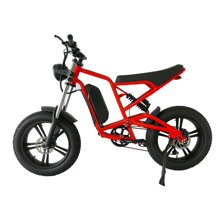 electric cycling bike 500W 750W 1000W moped e motorcycle 48V 52V 20 Ah battery bicicleta electrica for sale