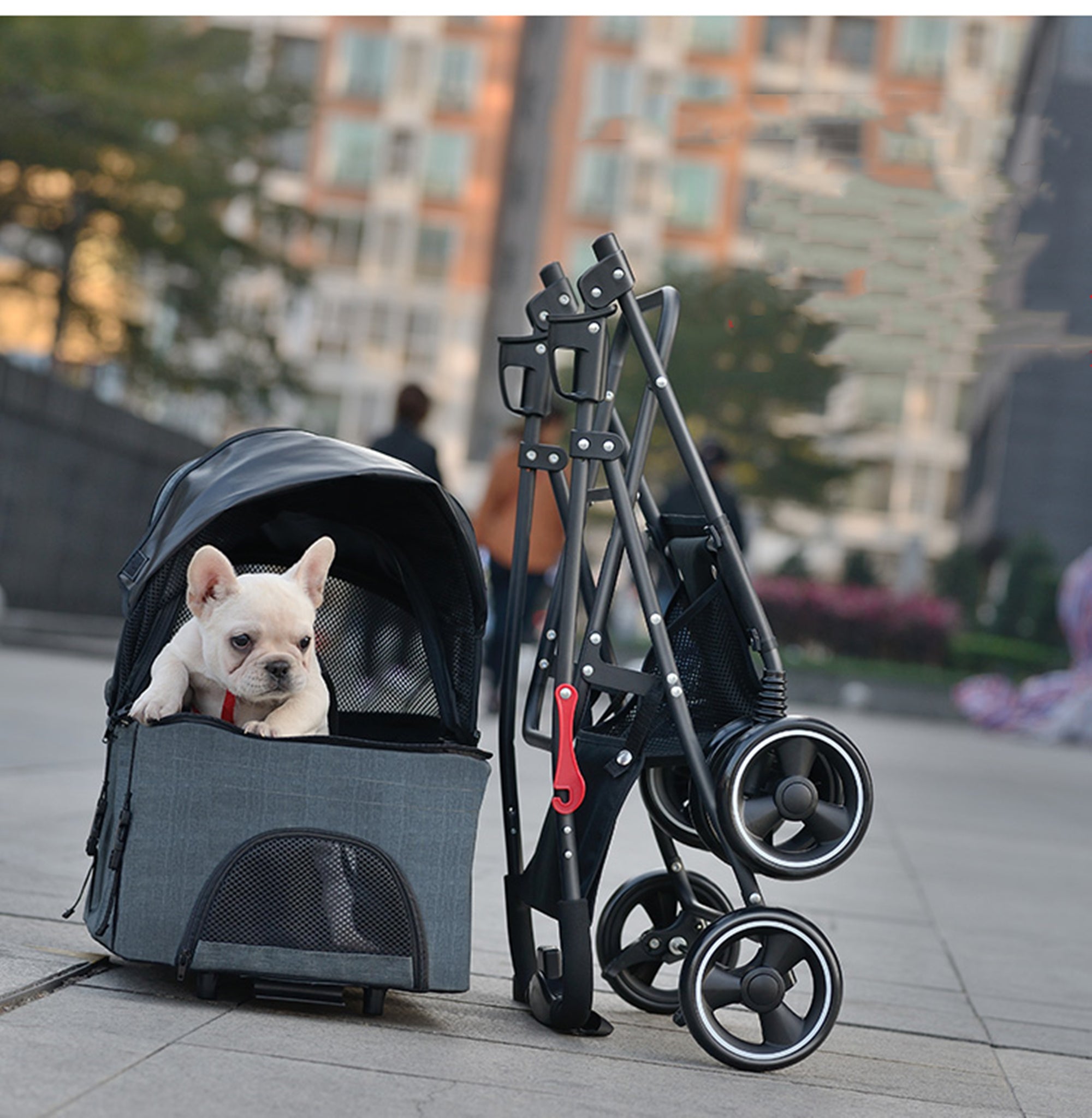 3 in 1 Folding Pet Stroller with Detachable Carrier for Small Dog Cat