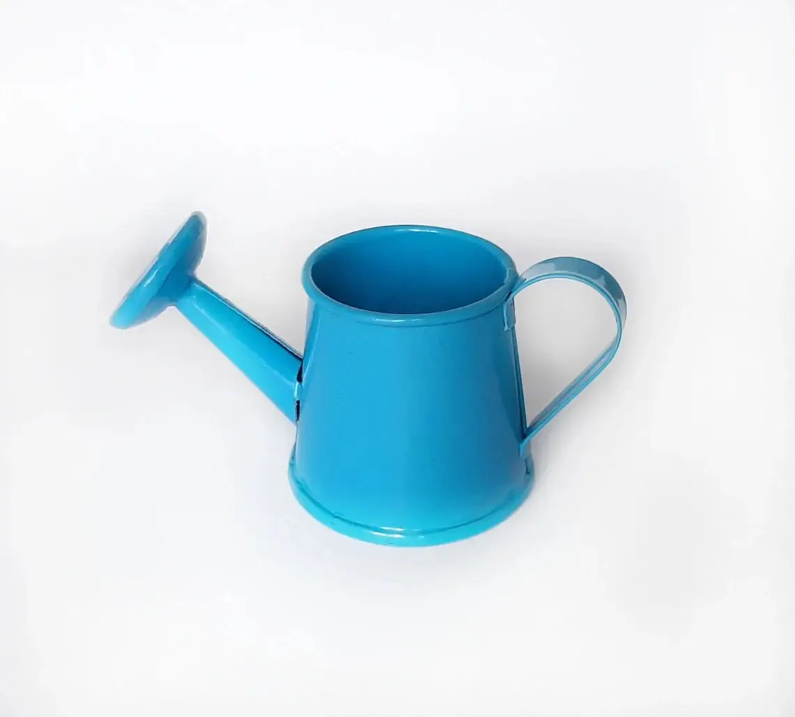 Garden Decorated Powder Coating Mini Watering Can Floral Arranging Craft Supplies Gardening Small Metal Watering Cans