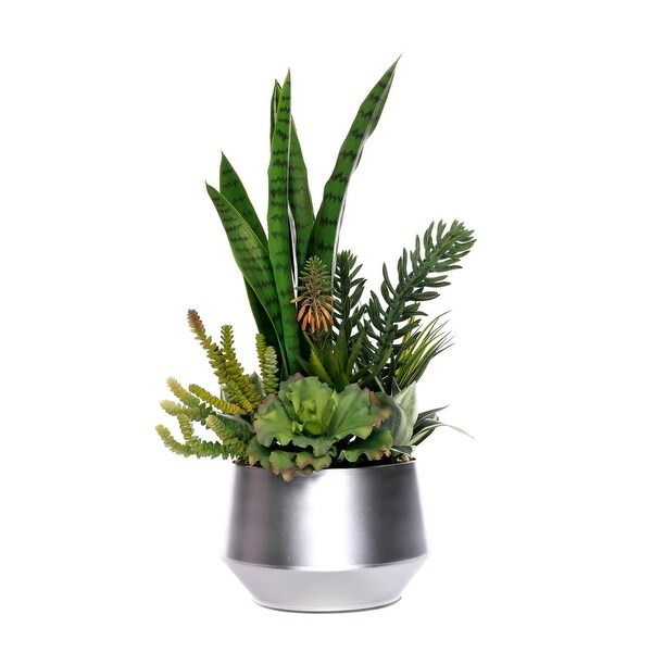 Succulent with Natural Pebbles in Silver Round Planter