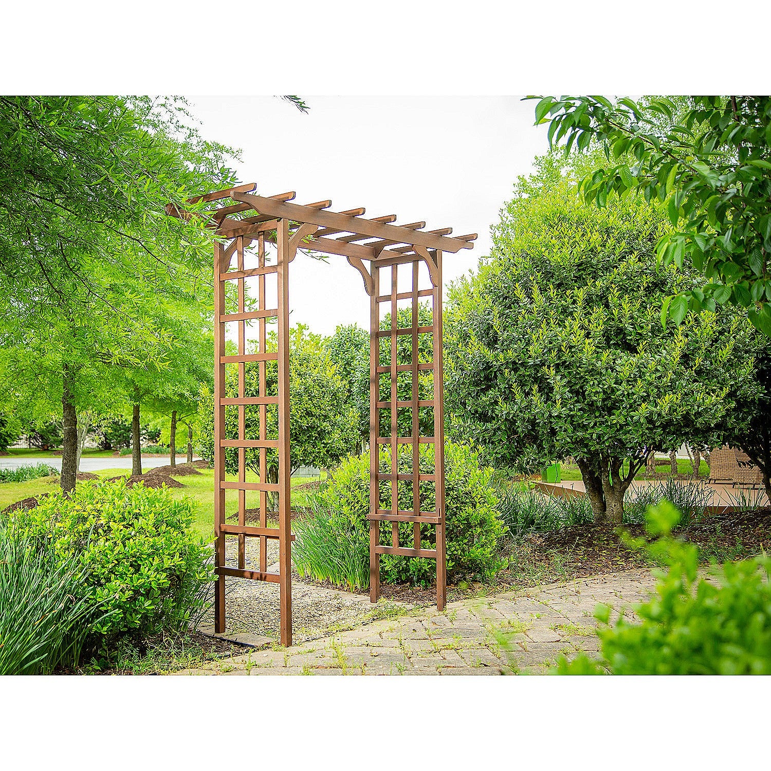 Evergreen Eucalyptus Arbor