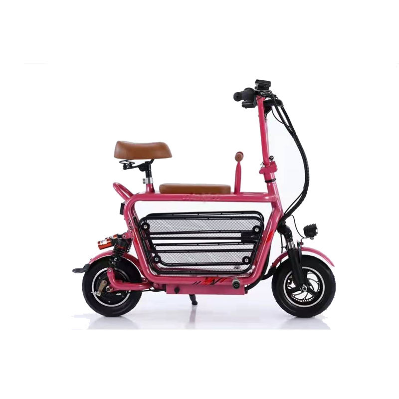 Bike Best E scooters Two Seater 48V /Mini Electric cargo Bike With Baby Seat ant pet box