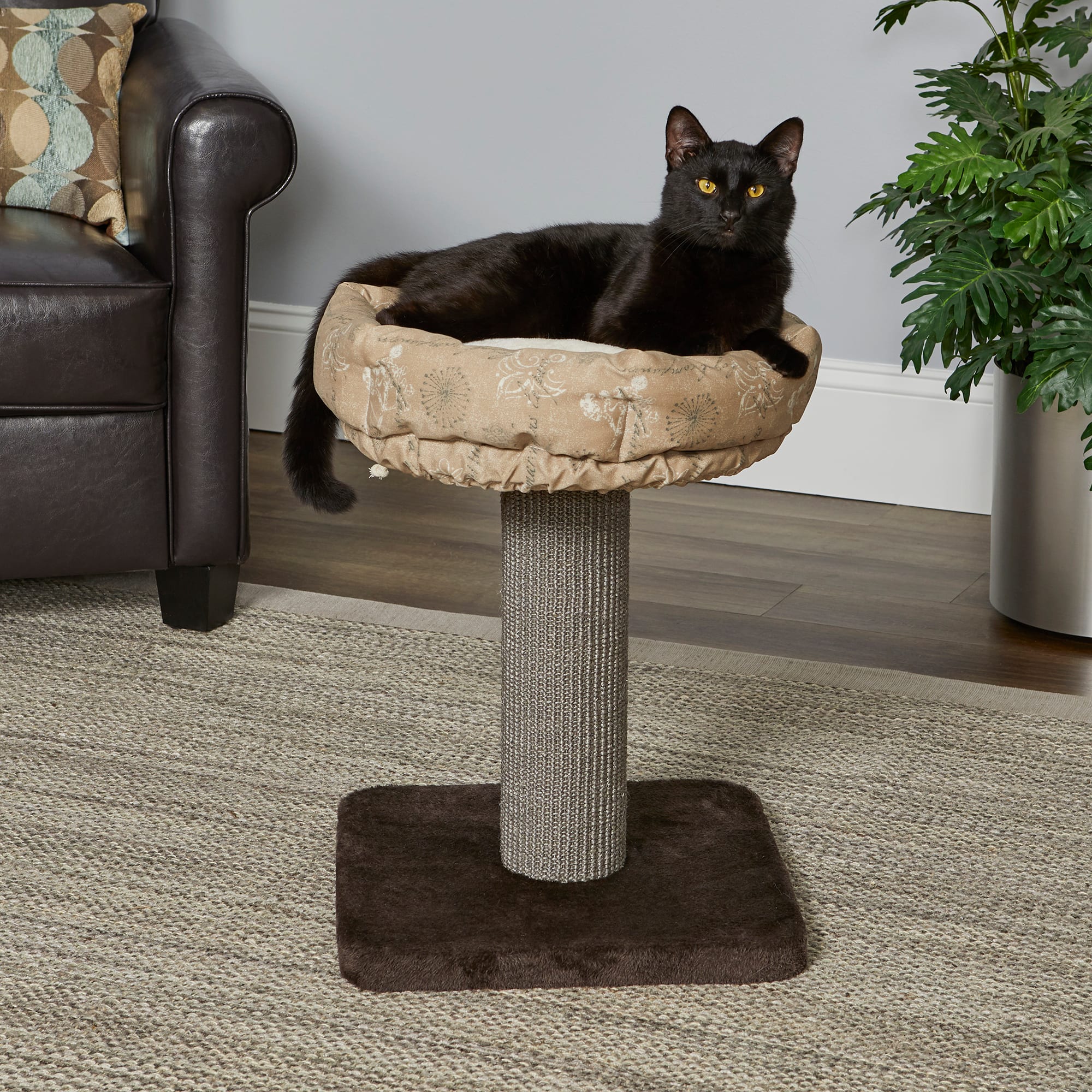 MIDWEST Feline Nuvo Terrace Cat Tree， 21.86