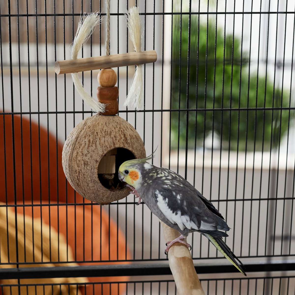 Frisco Coco Swing With Me Bird Toy