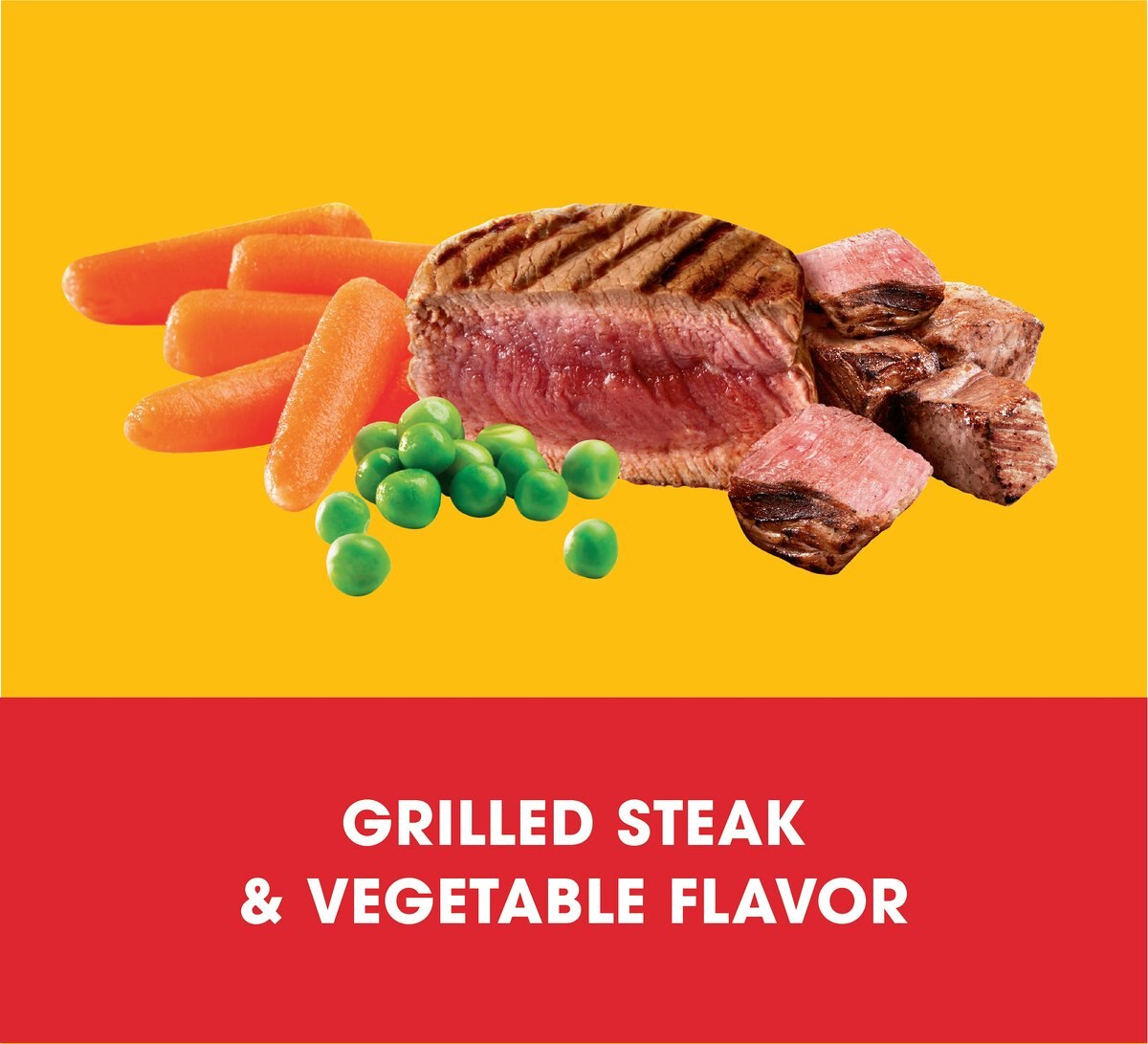 Pedigree Small Dog Complete Nutrition Grilled Steak and Vegetable Flavor Small Breed Dry Dog Food