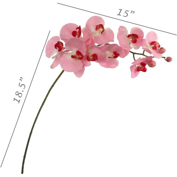 Floral Home Artificial phalaenopsis Orchid Stems 33.5 Tall