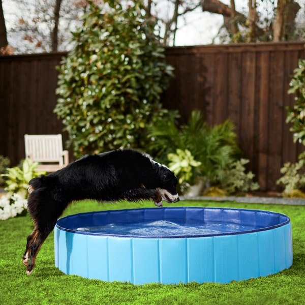 Frisco Outdoor Dog Swimming Pool， Blue