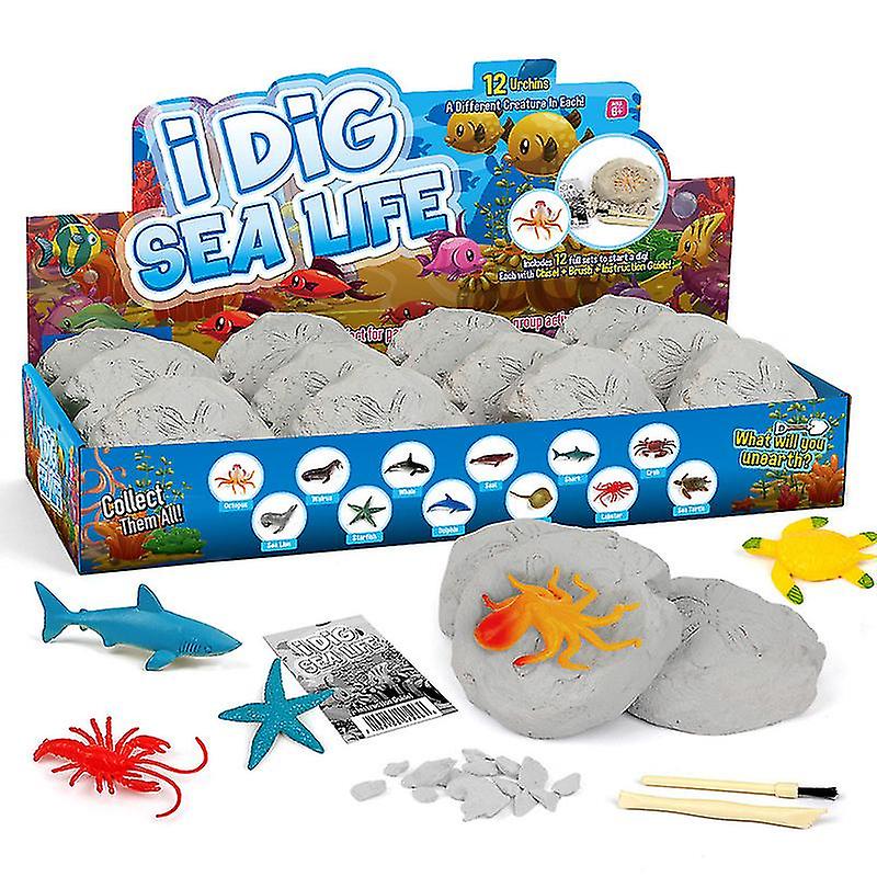 Dinosaur Egg Children's Digging Kit-dinosaur Digging Toys Include 12 Dinosaur Fossil Eggs， Marine Animal Graphics， Archaeological Science Stem Educati