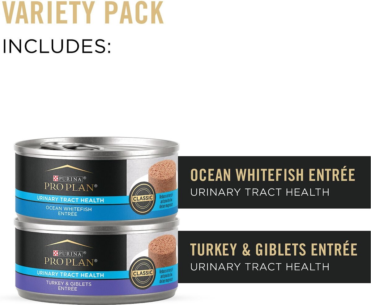 Purina Pro Plan Urinary Tract Health Focus Turkey and Giblets， Ocean Whitefish Variety Pack Canned Cat Food， 5.5-oz can， case of 24