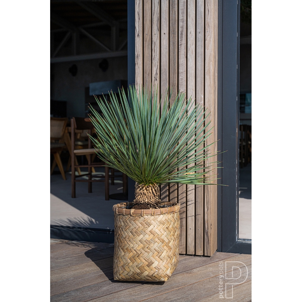 Pottery Pots Zayn Bamboo Indoor Outdoor Round Planter  Natural Finish