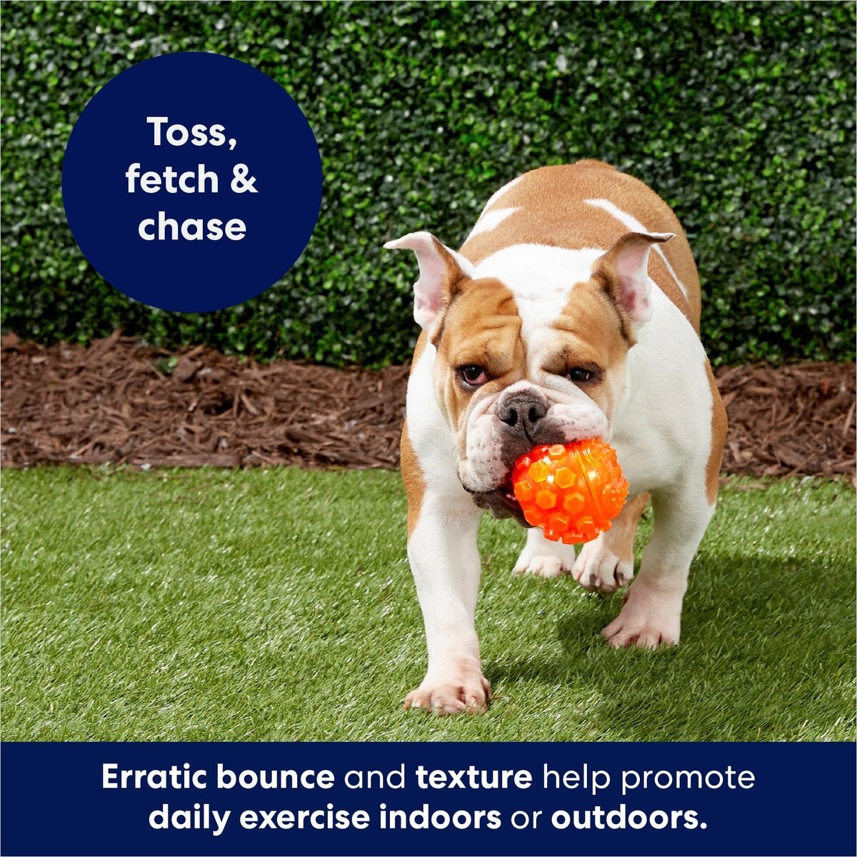 Frisco Fetch Squeaky TPR Ball Dog Toy