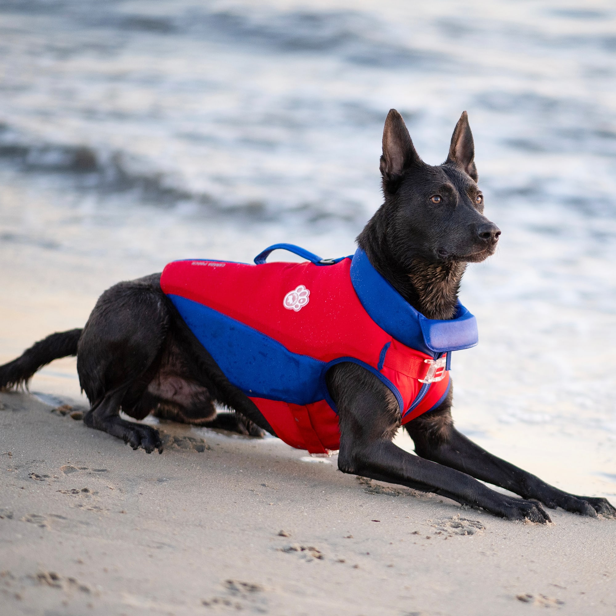 Canada Pooch Red/Blue High Tide Dog Life Jacket， X-Small