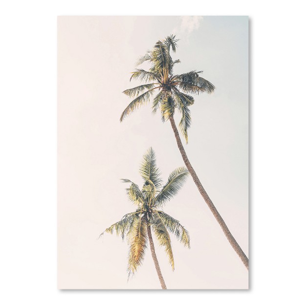 Americanflat Botanical Coastal Blush Palm Tree 2 By Sisi And Seb Poster