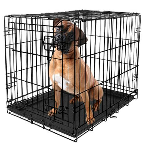 Vibrant Life SingleDoor Folding Dog Crate with Divider XXLarge 48  Crowdfused