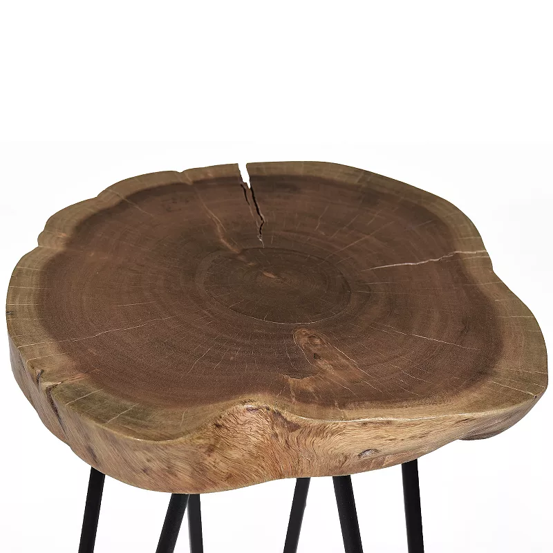 Carolina Living Seti Live Edge Accent Table