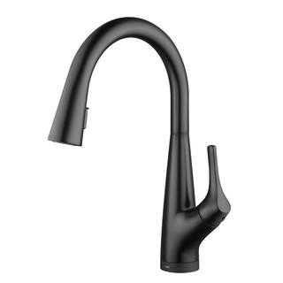 Glacier Bay Eagleton Single-Handle Pull-Down Sprayer Kitchen Faucet with Filtration and FastMount in Matte Black HD67540-1010H