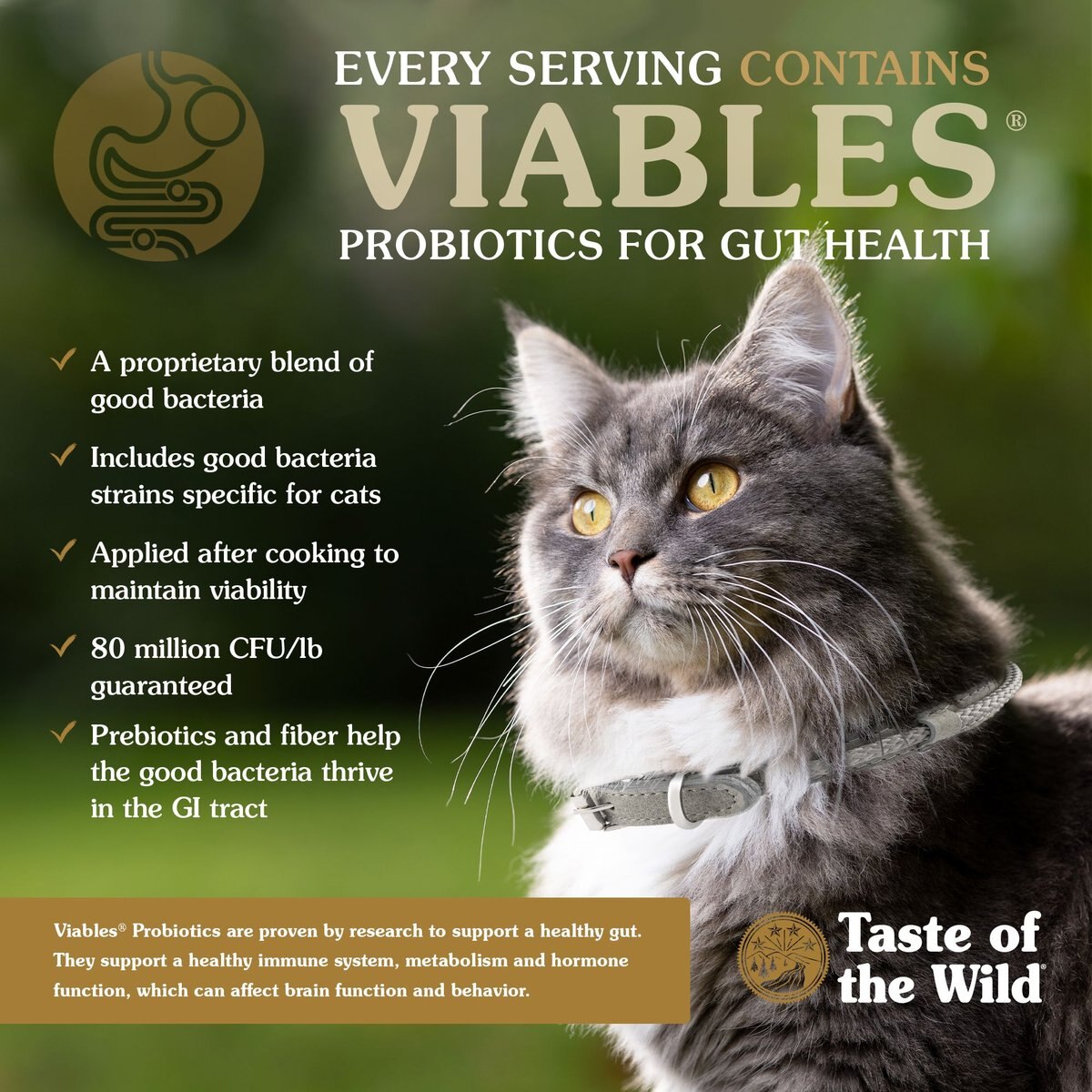 Taste of the Wild Lowland Creek Premium Real Meat Recipe with Roasted Quail and Duck Grain-Free Dry Cat Food