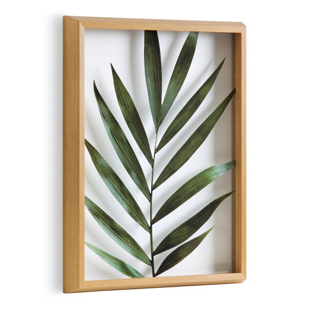 X 20 quot Blake Botanical 5f Framed Printed Glass By Amy Peterson Natural Kate And Laurel