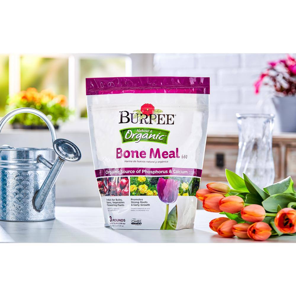 Burpee Natural  Organic 3 lbs. Bone Meal Granule Plant Food (3-Pack) DCBP3BO3