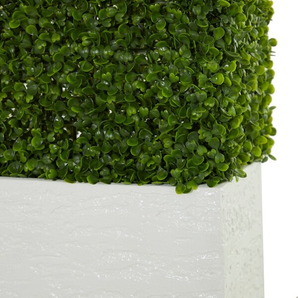 Exclusive and Utmost Beautiful Boxwood Hedge