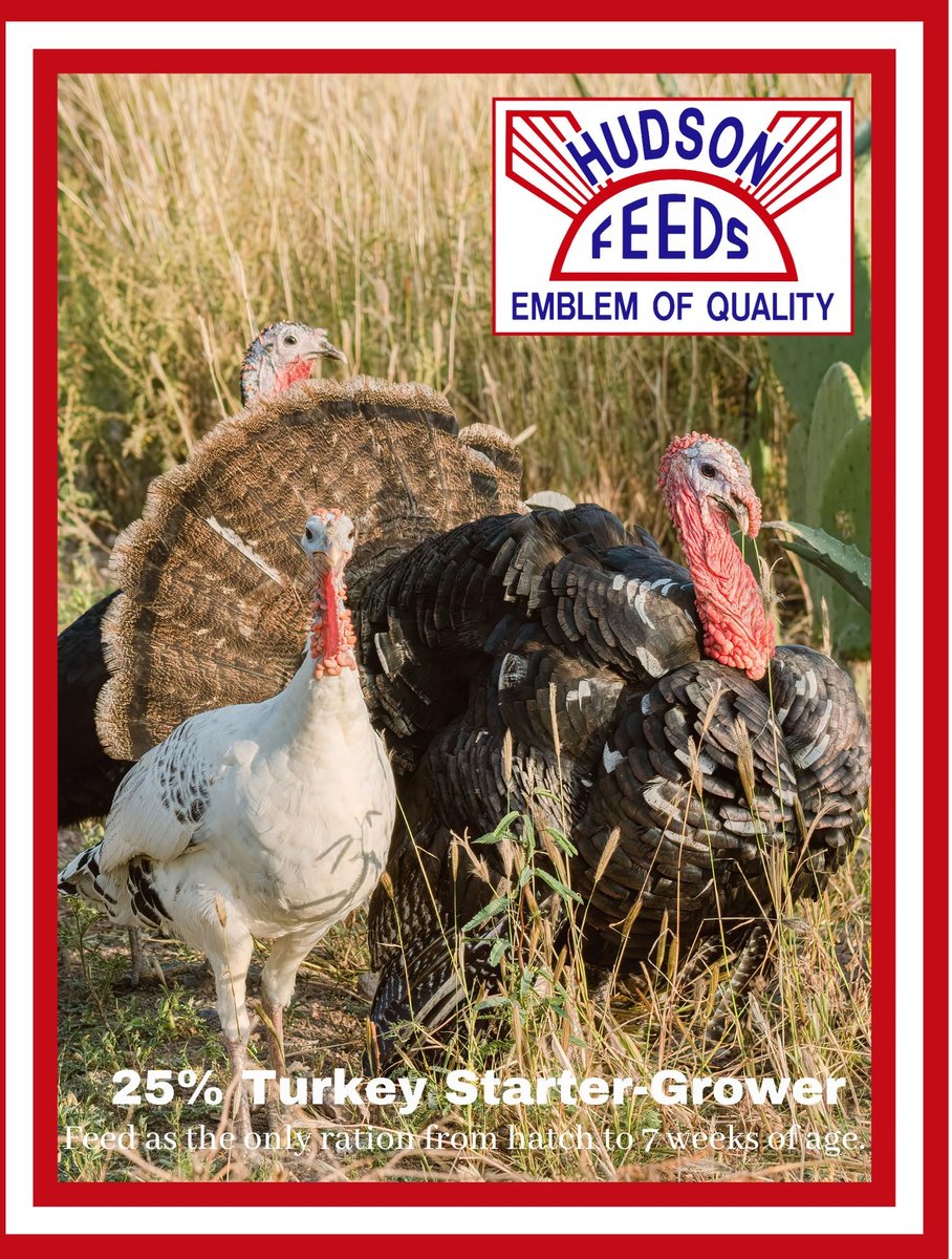 Hudson Feeds Poultry Feeds 25% Turkey Starter-Grower Turkey Food， 50-lb bag