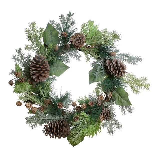 Northlight Pine Cone And Cedar Artificial Christmas Wreath 20 inch Unlit