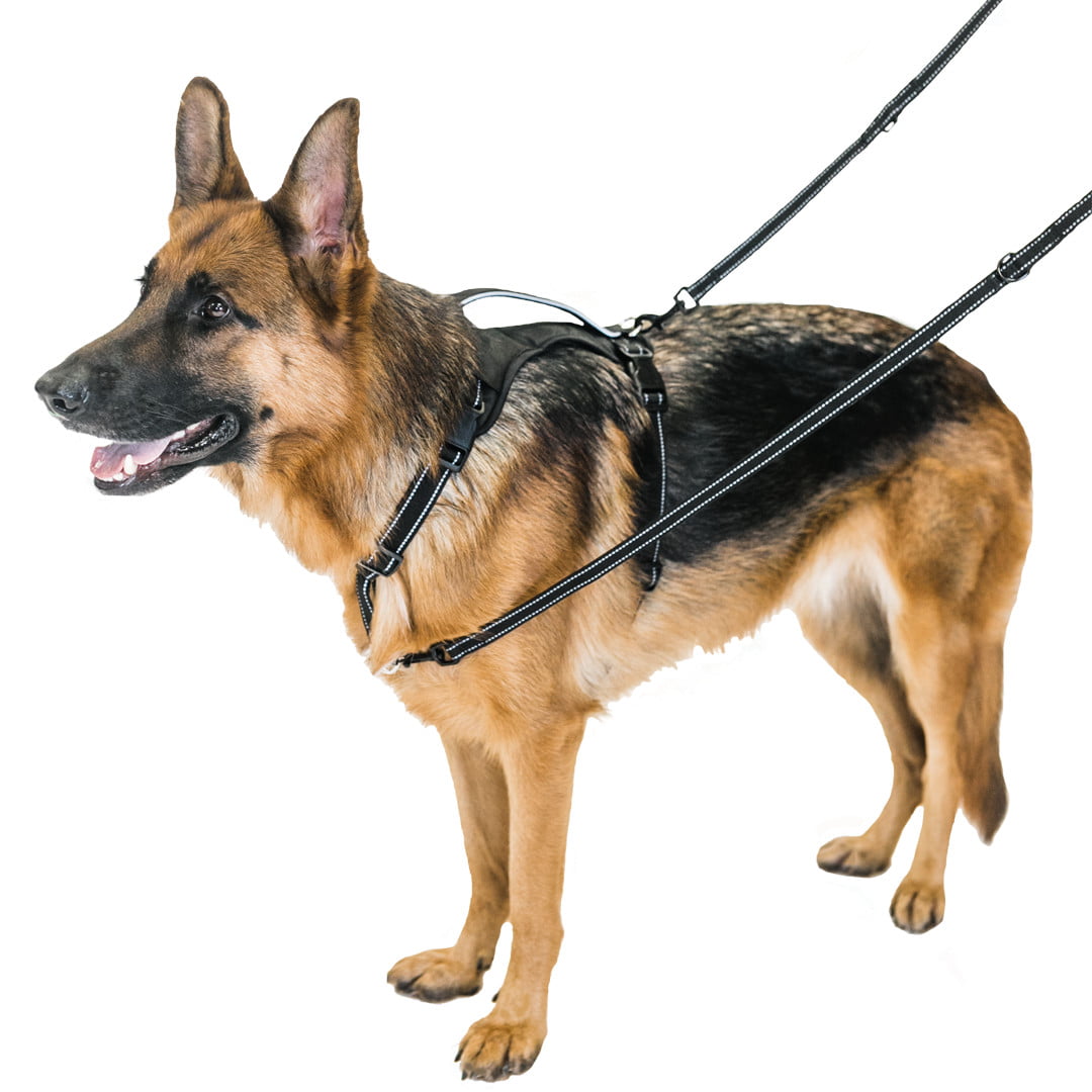 Premier Pet Multi-Functional Leash for Dogs up to 75 lb. - Adjustable Length