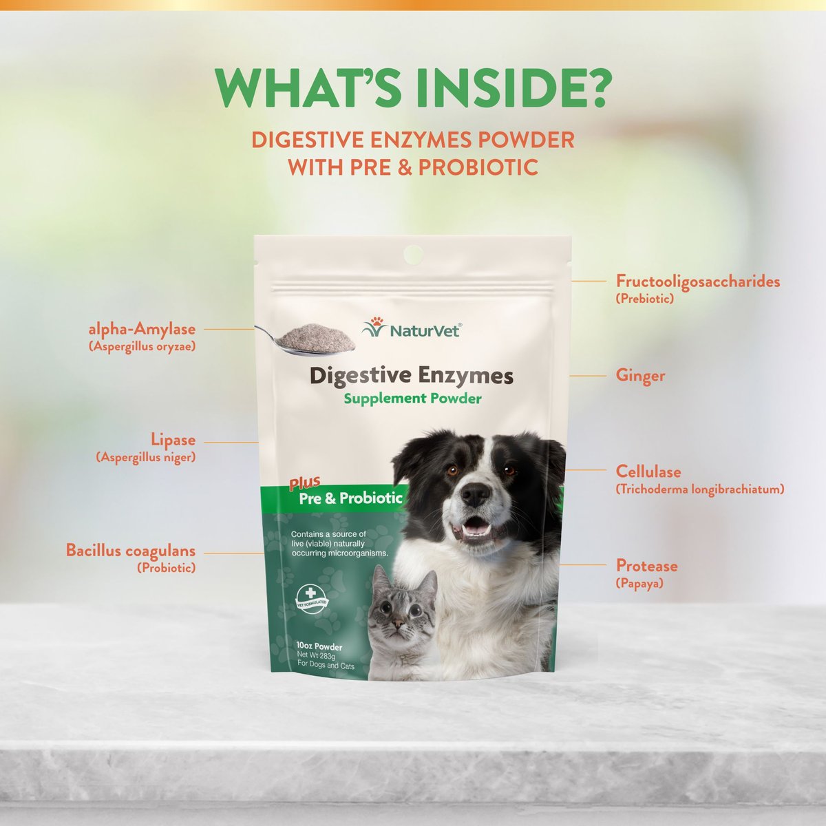 NaturVet Digestive Enzymes Plus Pre and Probiotic Powder Digestive Supplement for Cats and Dogs