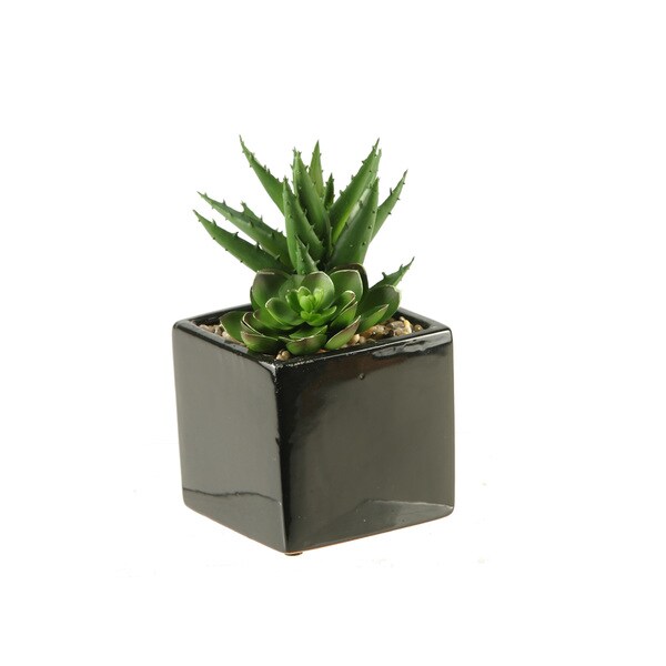 DandW Silks Plants in Square Ceramic Planter