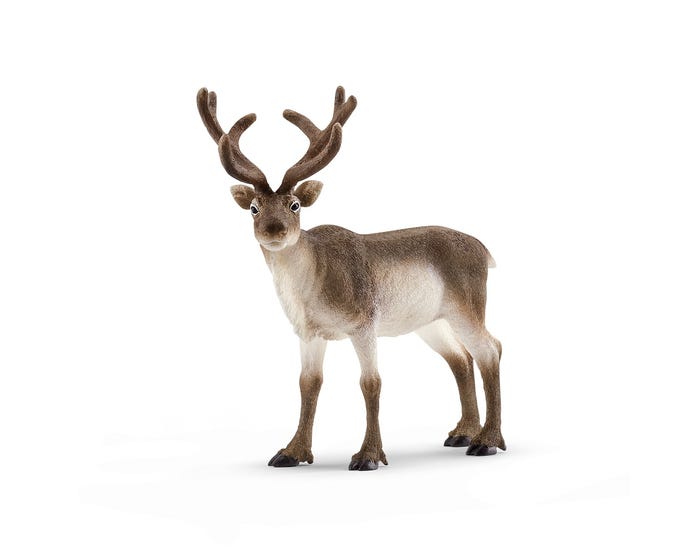 Schleich Reindeer - 14837