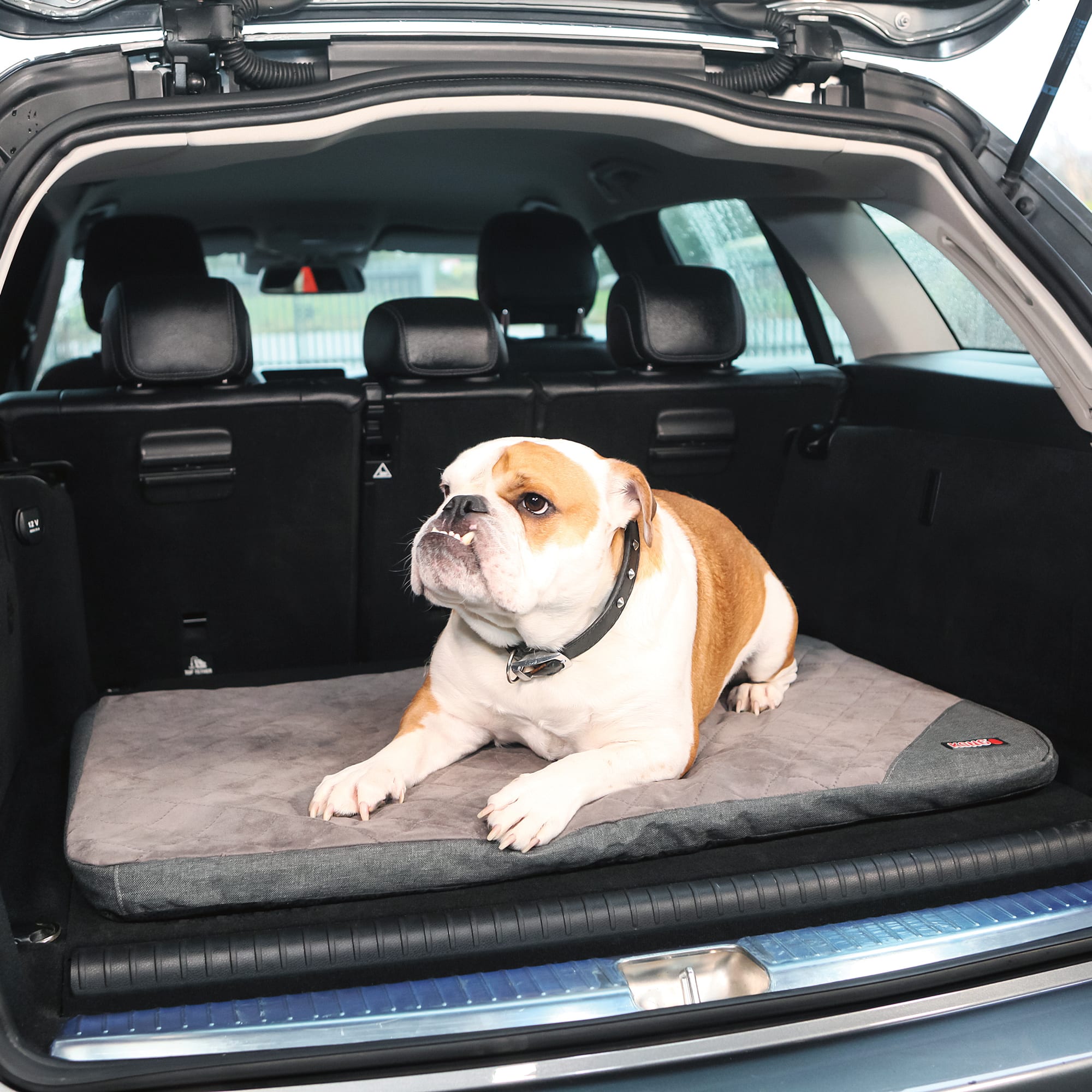 KONG Fold-Up Non-Slip Dog Travel Mat， 36