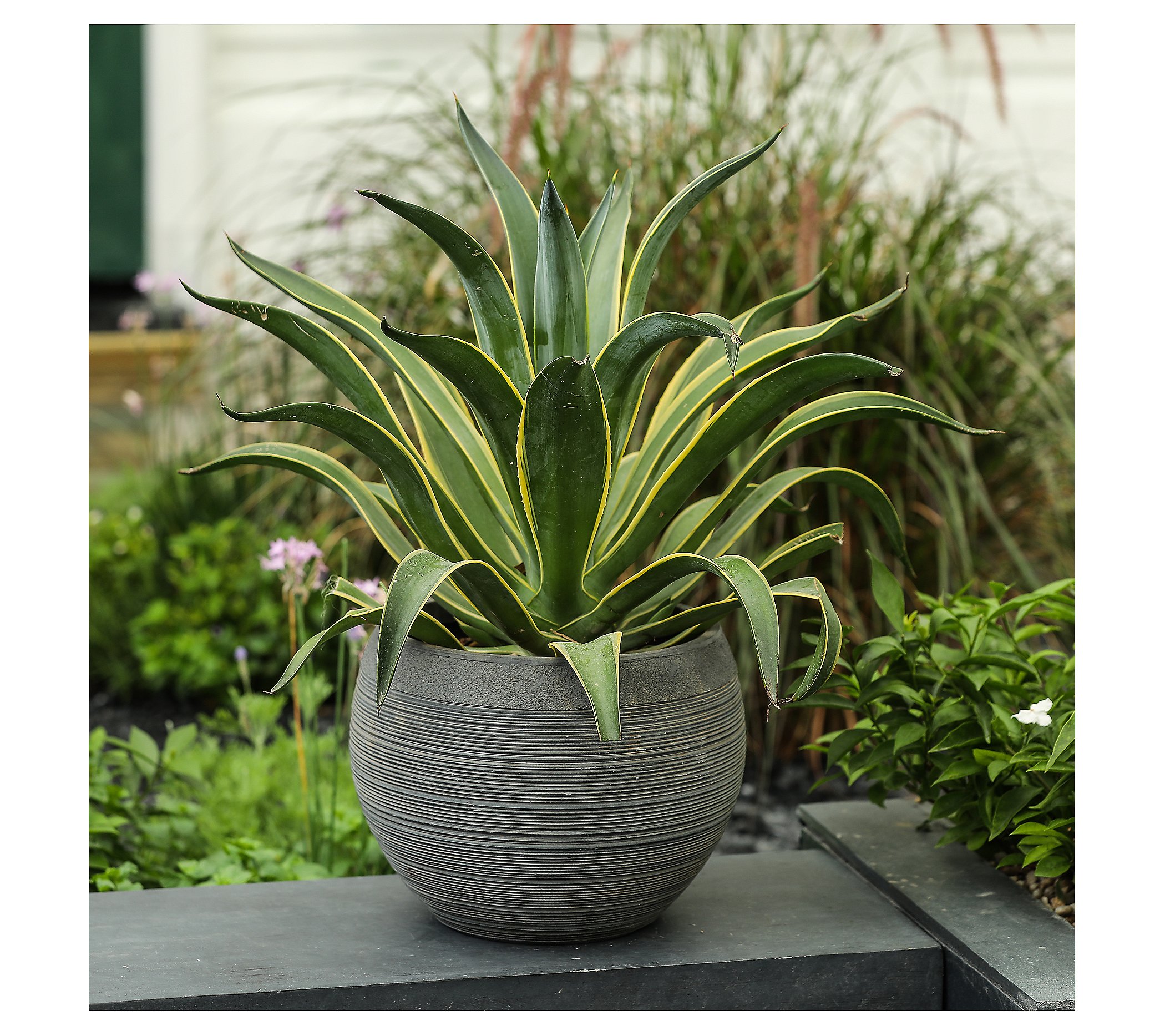 Luxen Home Gray Pottery Bowl Planter