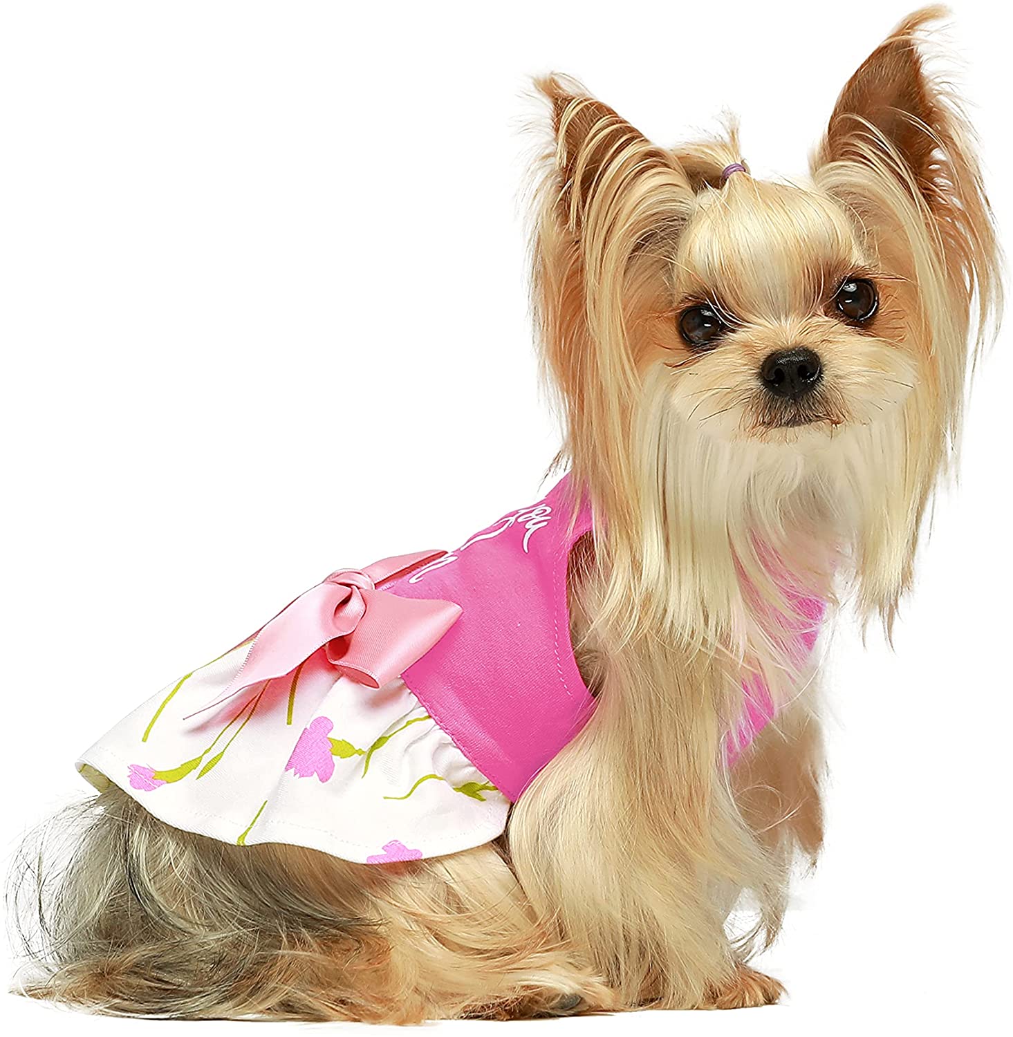 Fitwarm Holiday Theme Dog Dresses for Birthday Mother's Day Valentines Day St Patricks Day Easter Day Haloween Dog Clothes Holiday Festival Dog Dresses Puppy Party Costumes XXS