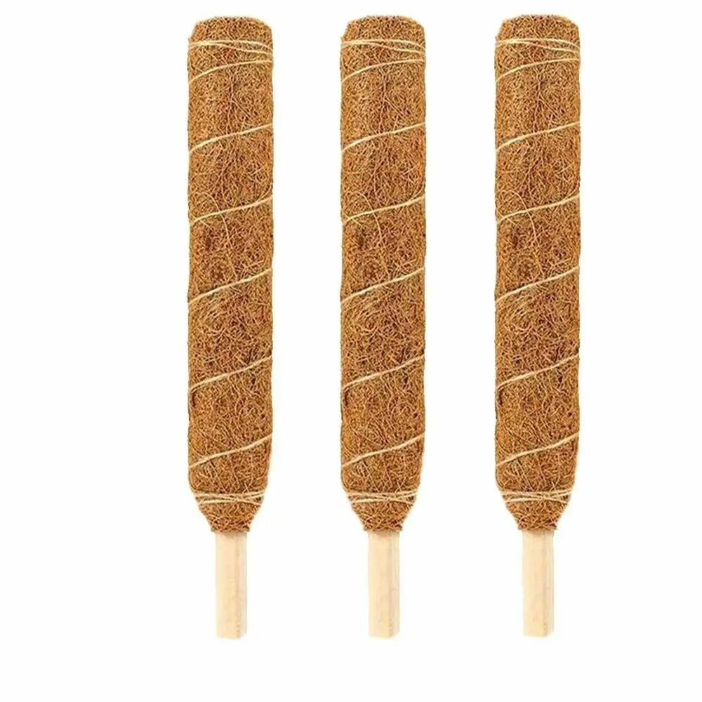 Coco Coir Pole Sticks is the Ideal for Your Garden Demy Satisfying Coco Coir Pole Sticks You NeedTo Know From Indian Exporters